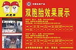 双胞胎效果展示