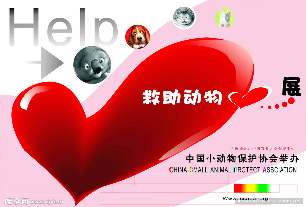 保护动物海报