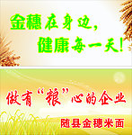 麦穗