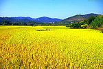 山水风景 田园风光