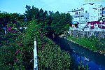 城市风景 绿色环保