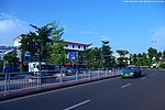 城市建设与道路绿化