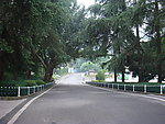 公园马路