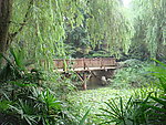 小桥