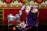 花卉(非高清)