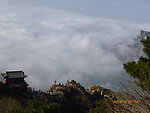 泰山 云海