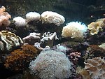 海洋馆 生物世界