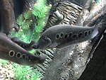 海洋馆