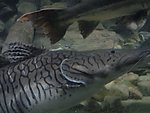 海洋馆