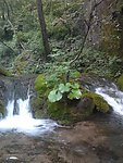 高山流水