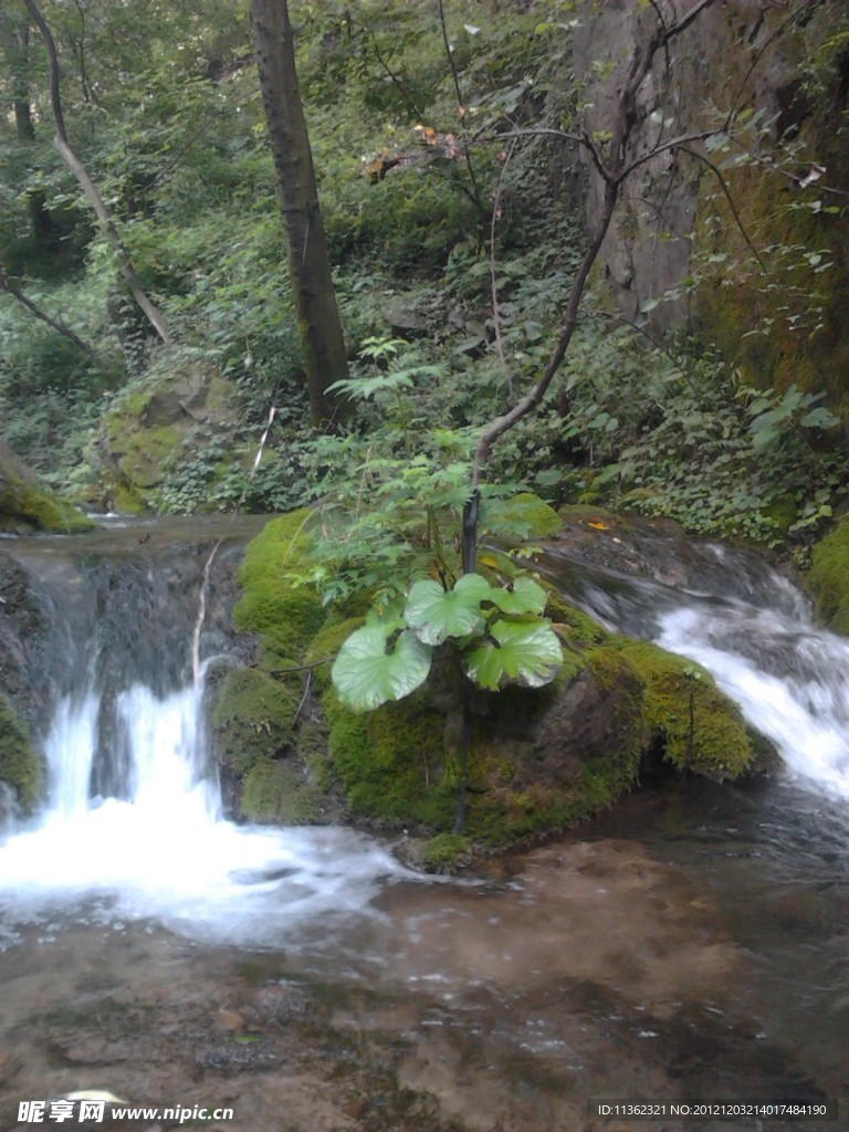 高山流水