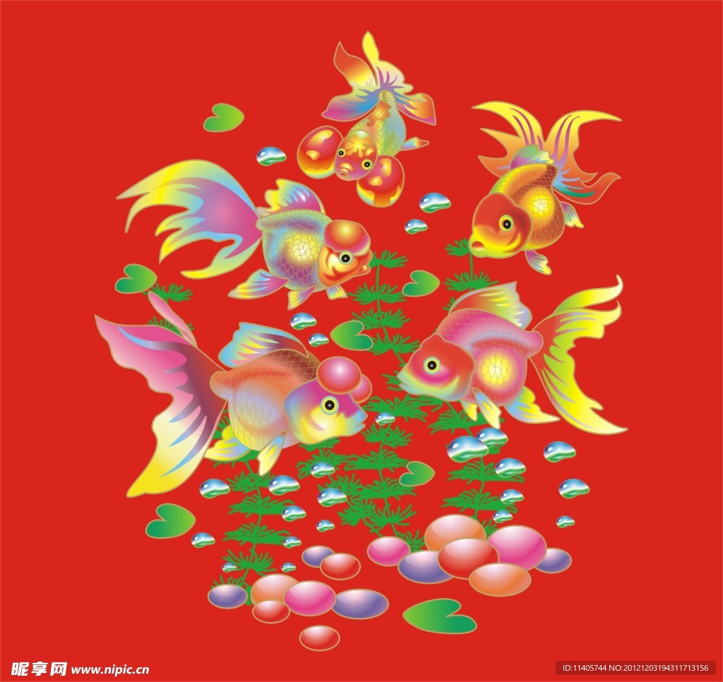 金鱼