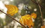 秋天香山