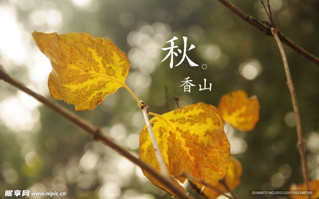 秋天香山