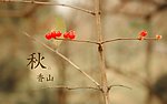 秋天香山