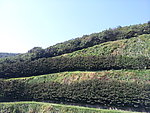 无锡灵山大佛景区