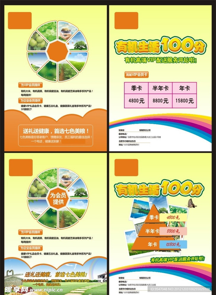 会员宣传单页 蔬菜单页