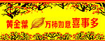 黄金叶