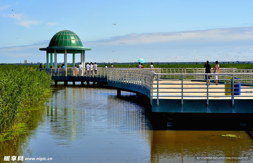 湿地观赏亭桥