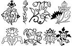 矢量 花纹 花边
