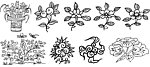 矢量 花纹 花边
