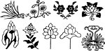 矢量 花纹 花边