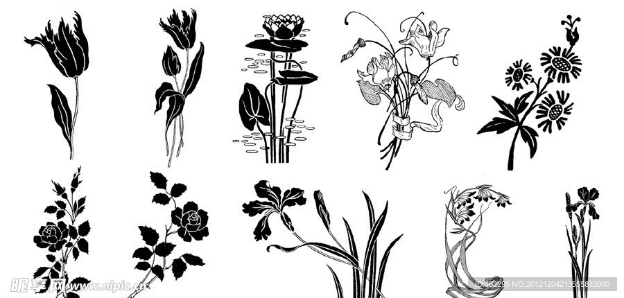 花纹 图案