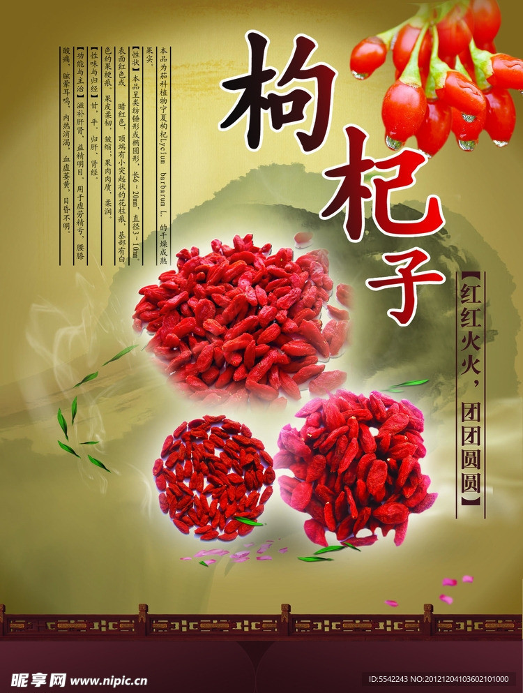 枸杞展板