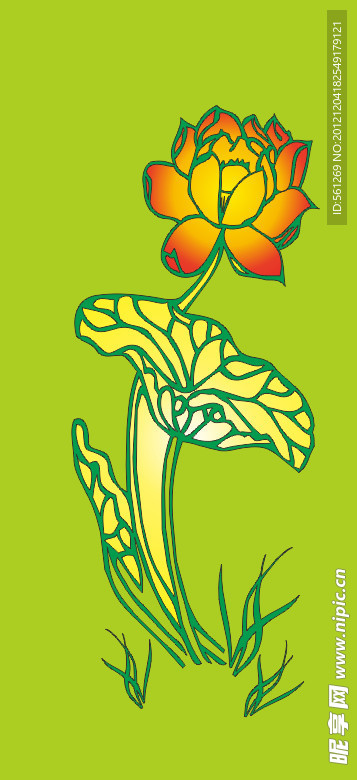 荷花 叶与花