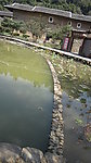 永定土楼风景