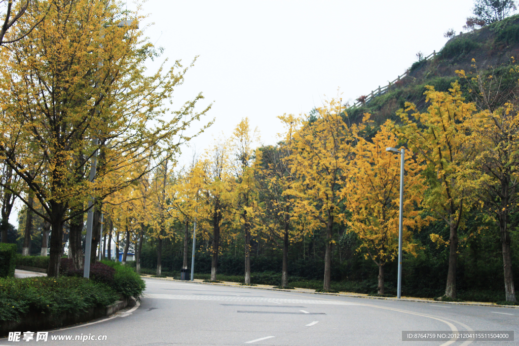 道路