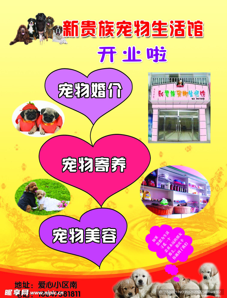 宠物店