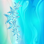 蓝色沙滩海星