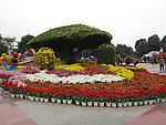 菊花展地