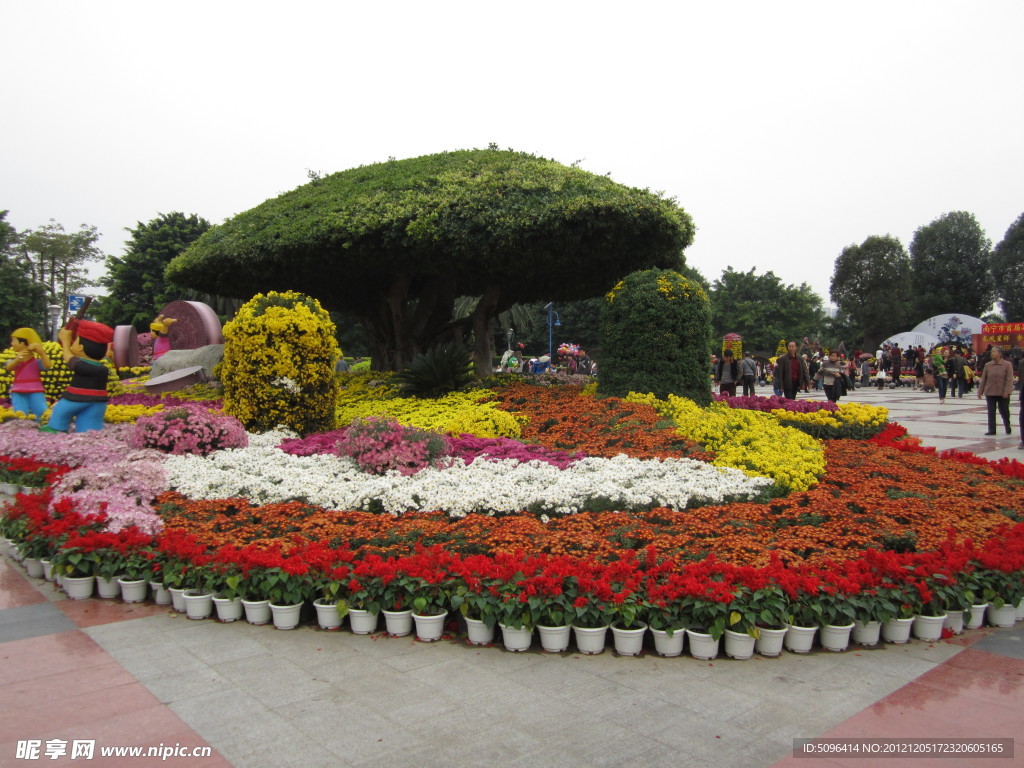 菊花展地