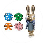 迷宠天地 兔子