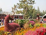 园艺 花艺