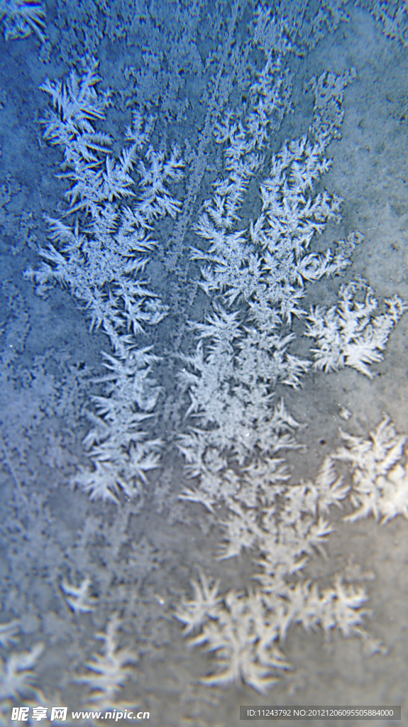 霜花