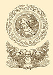 龙纹
