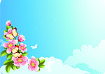 花纹
