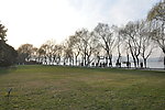 冬日西湖杨柳岸