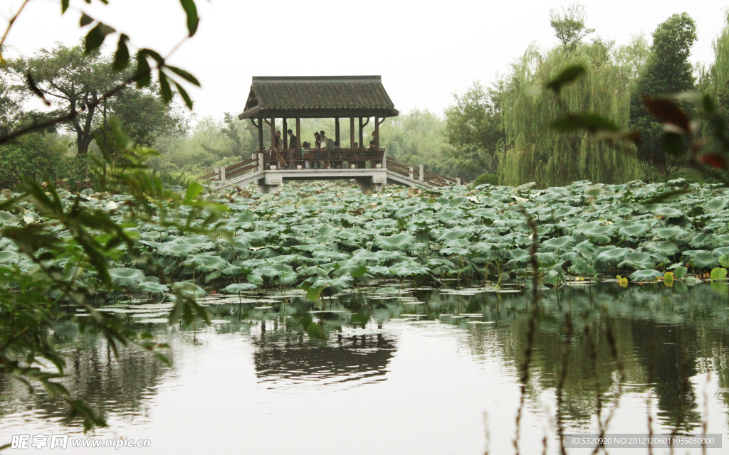 西溪国家湿地公园