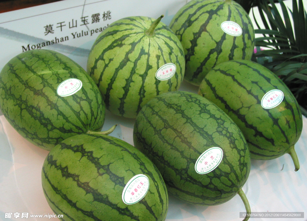 西瓜