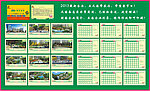 荷花蒂斯2013年台历