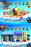 海参