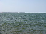 大海