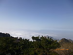 泰山