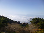 泰山