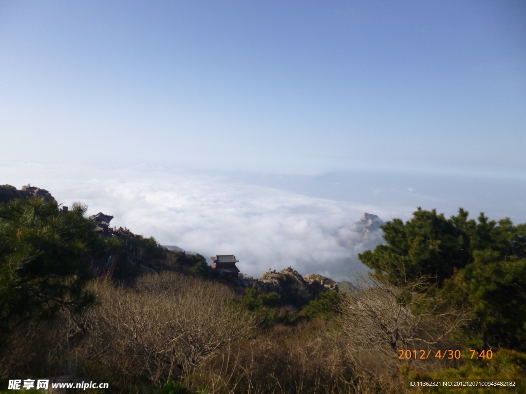 泰山