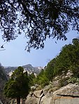 泰山